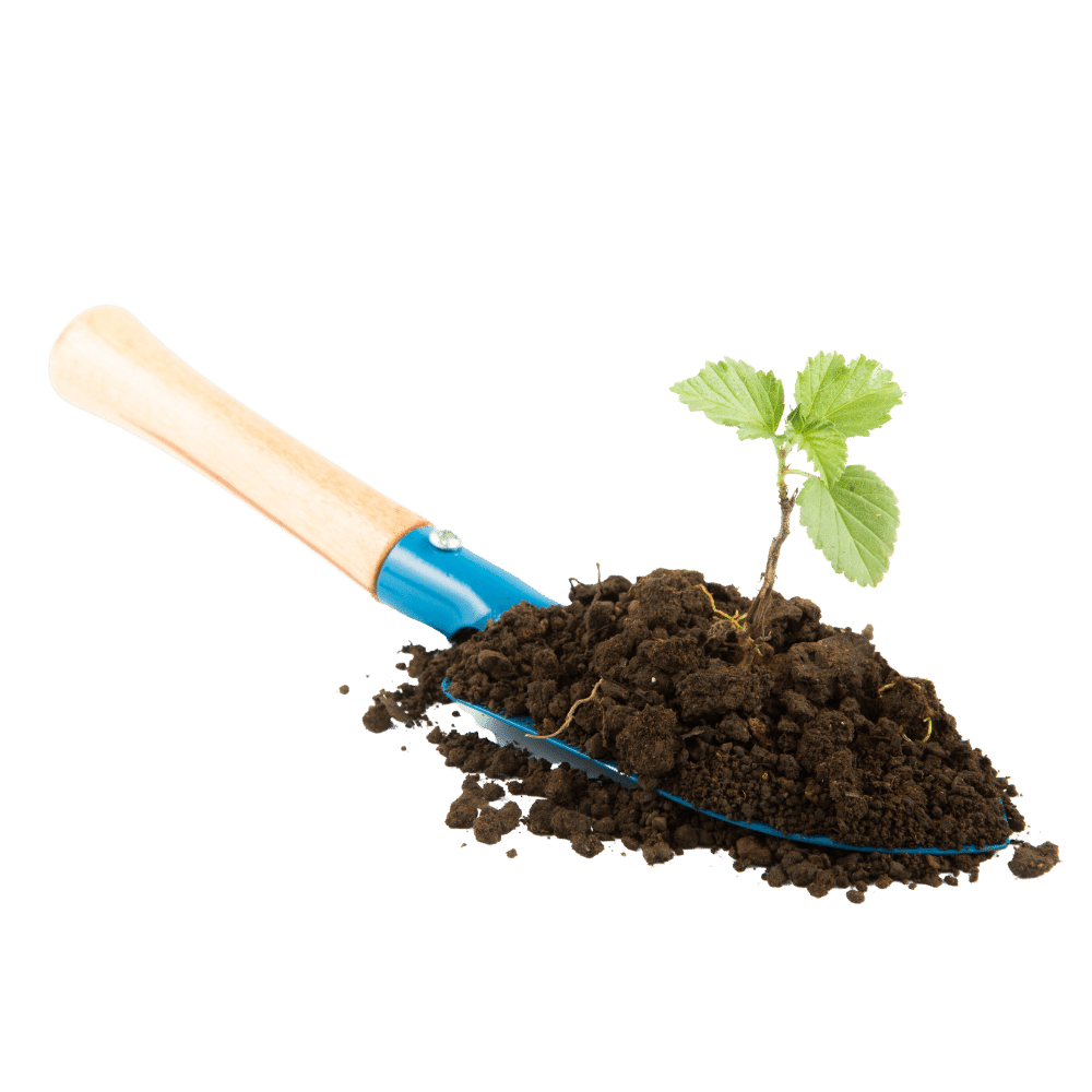 Progetto senza titolo (37)